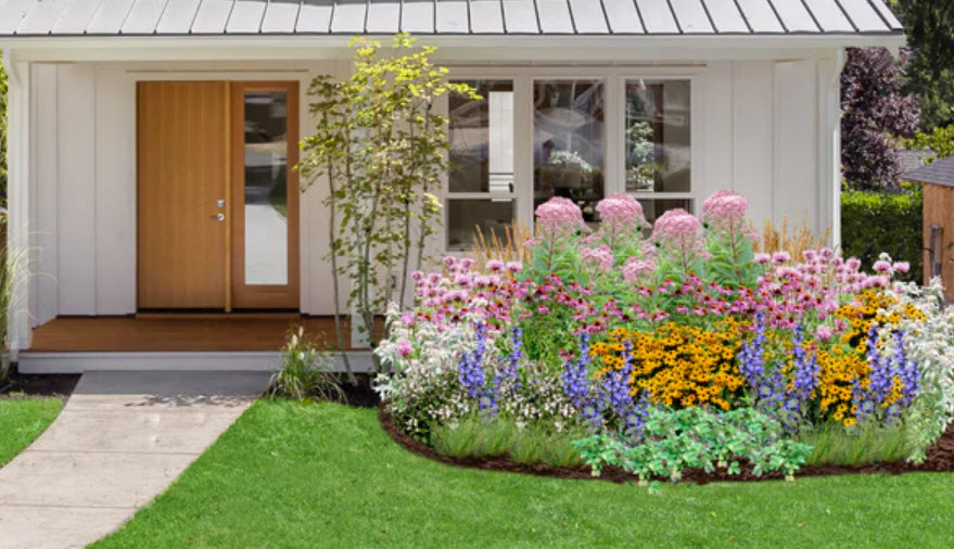 Wildflower & Native Plant Gardens, United States